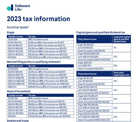 Georgia Property Tax Rebate 2025