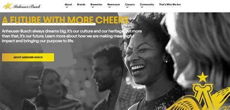 Anheuser Busch Rebate Codes